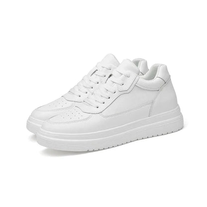 Blimp™| Basket Step'Innov